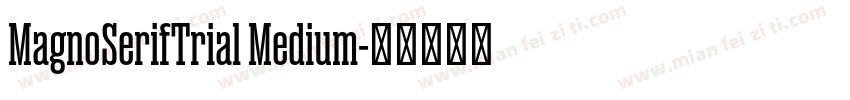 MagnoSerifTrial Medium字体转换